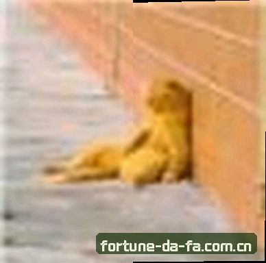 周敏
